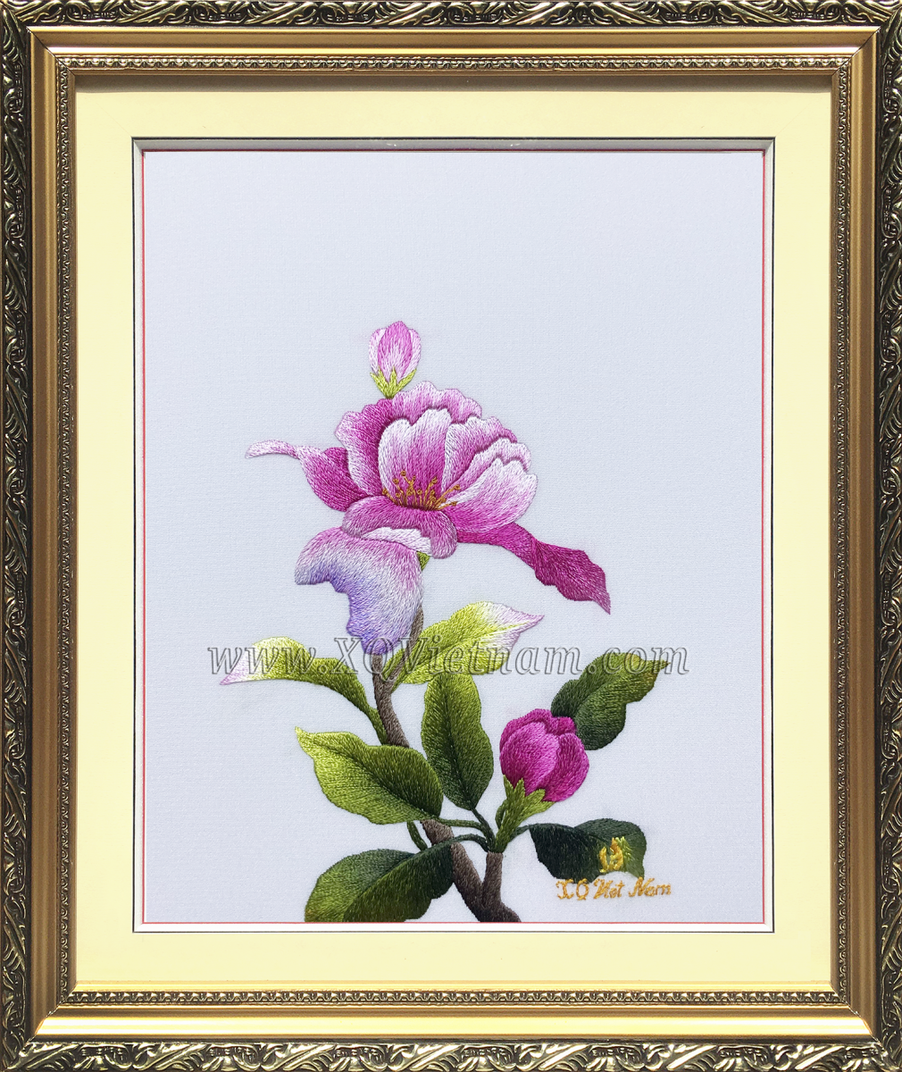 Chút Hương Cho Đời 57 (Hoa Mẫu Đơn)